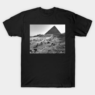 Camels Waiting in Front of Egyptian Pyramids T-Shirt